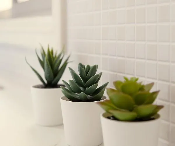 Appartement Furnished Seafront Larnaca