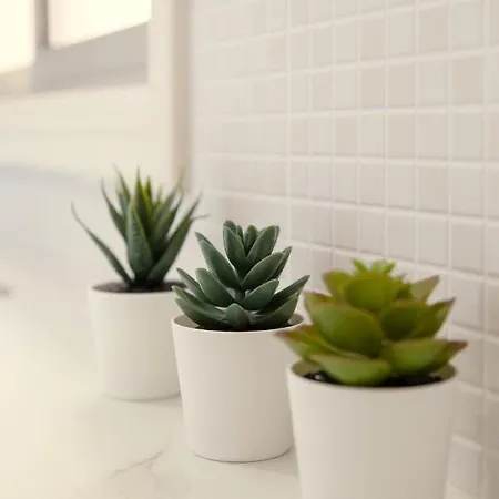 Апартаменты Furnished Seafront Ларнака